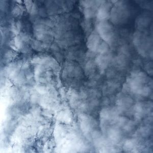 Meet your Posher, Bella